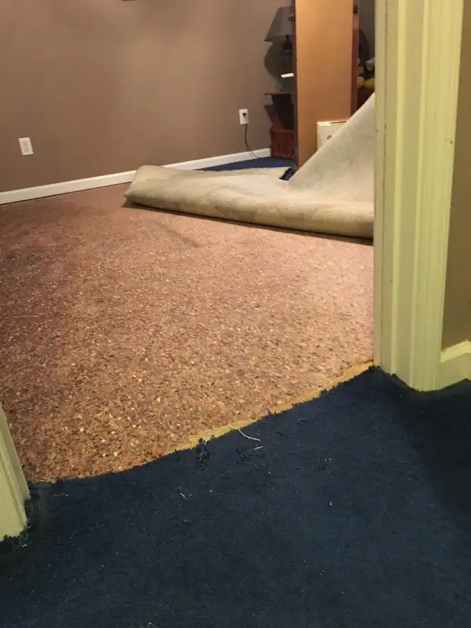 Carpet pad removal revealing water damage during Water Mitigation Services in Elyria