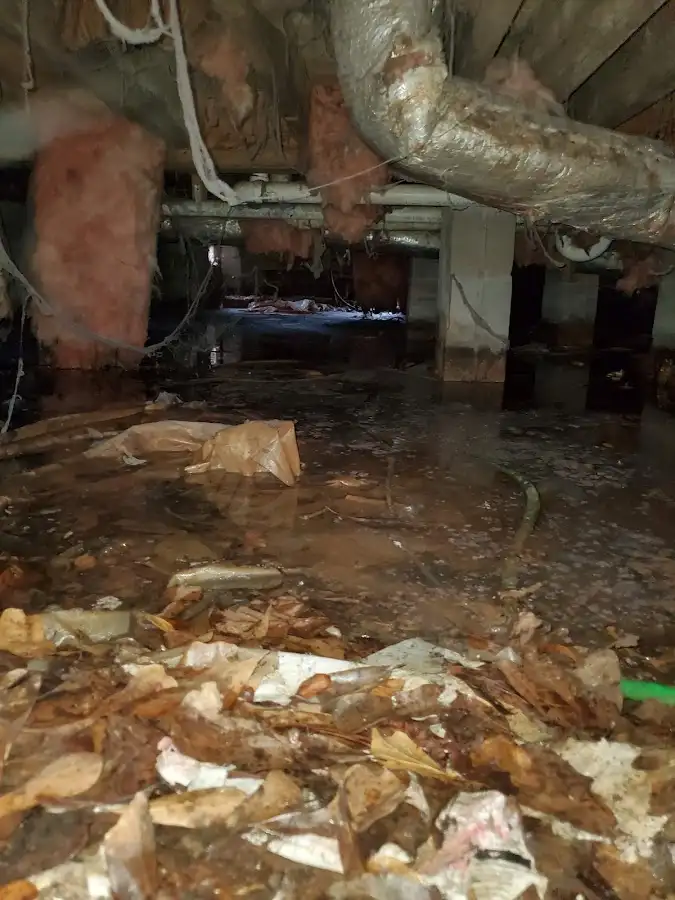 Crawl space flood assessment for Leak Detection & Repair in Elyria