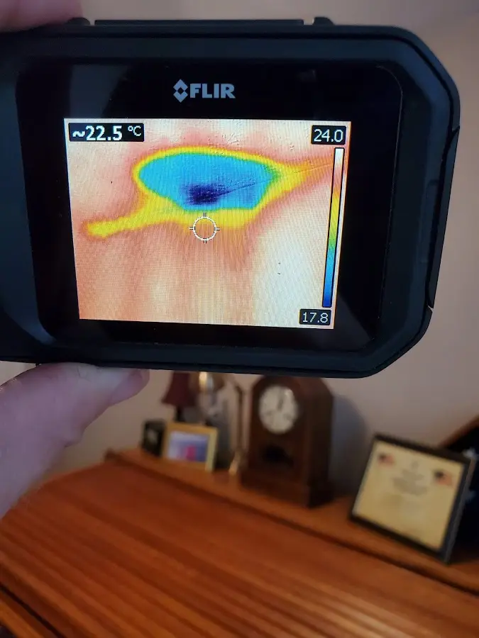 Thermal imaging inspection for water damage in Elyria