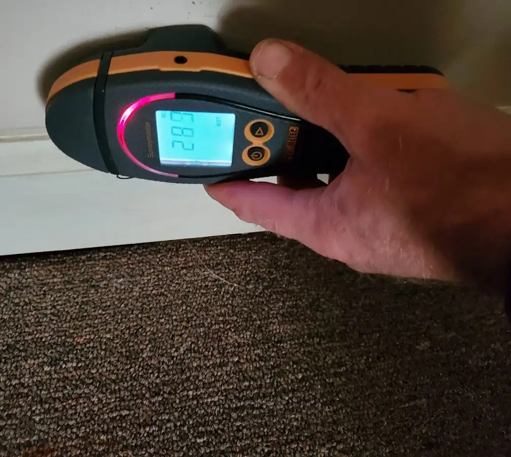 Moisture detection at baseboard during Sewage Cleanup & Sanitation in Elyria